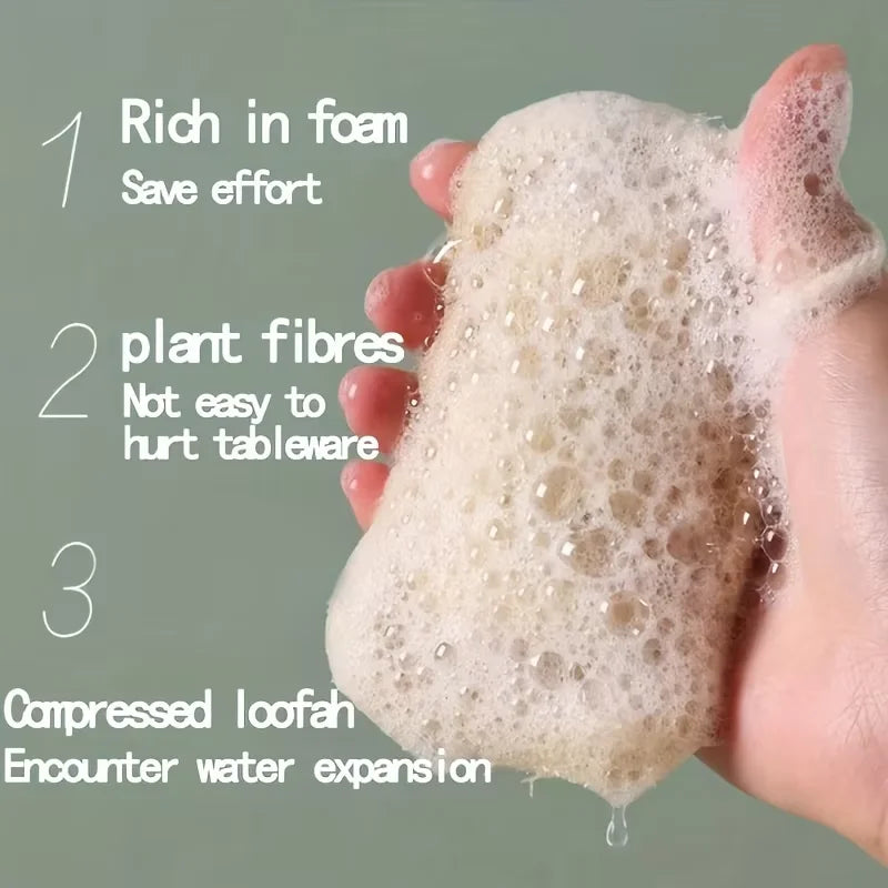 5 Pack Natural Loofah Sponge – Bath Scrub, Exfoliating & Dishwashing Pads for Kitchen Cleaning